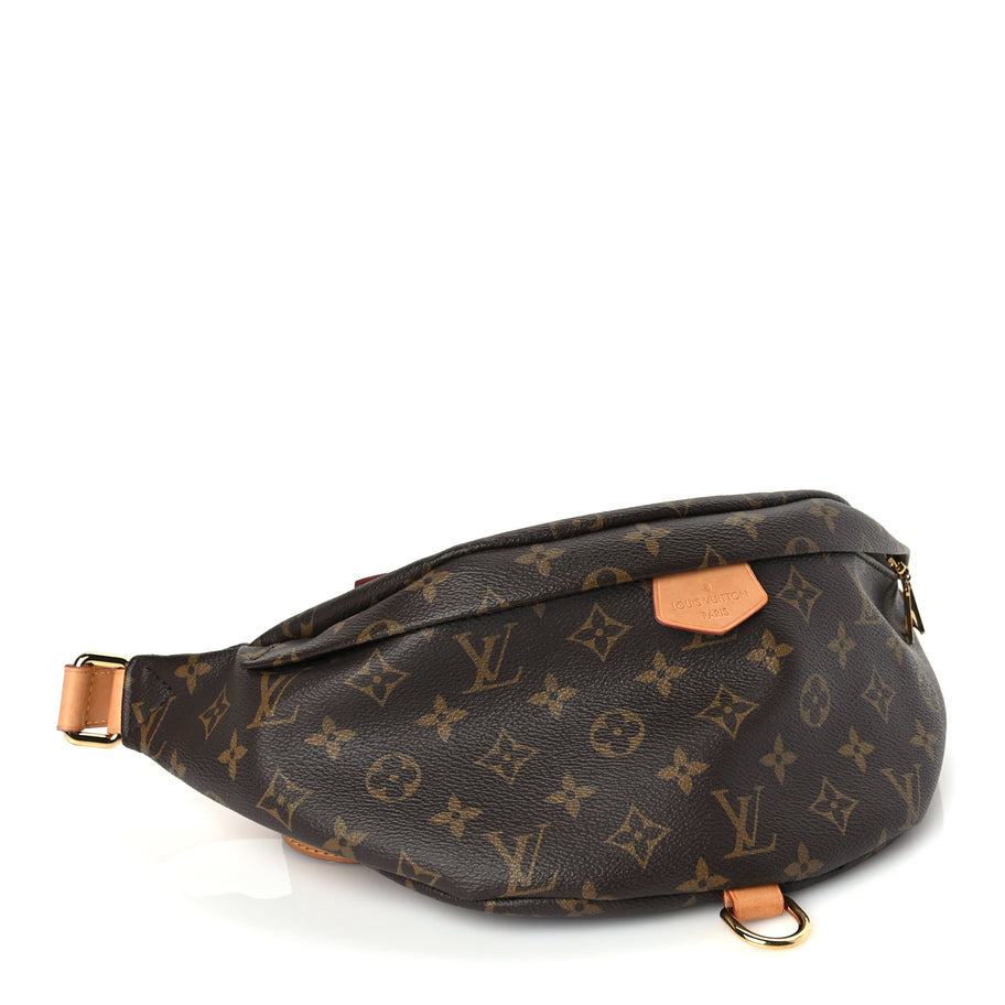 Louis Vuitton Monogram Bumbag Image 3