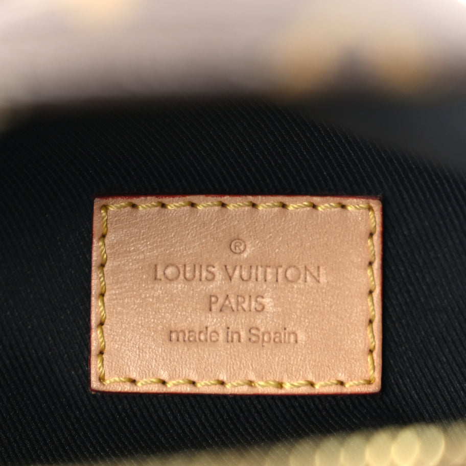 Louis Vuitton Monogram Bumbag Image 5