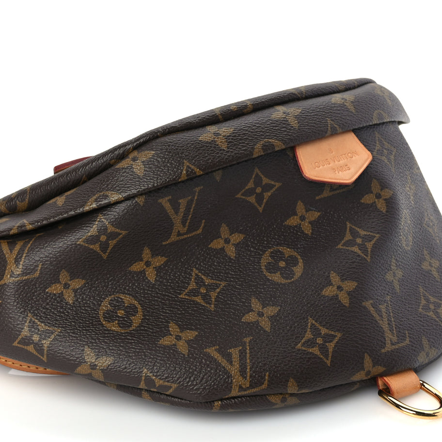 Louis Vuitton Monogram Bumbag Image 7
