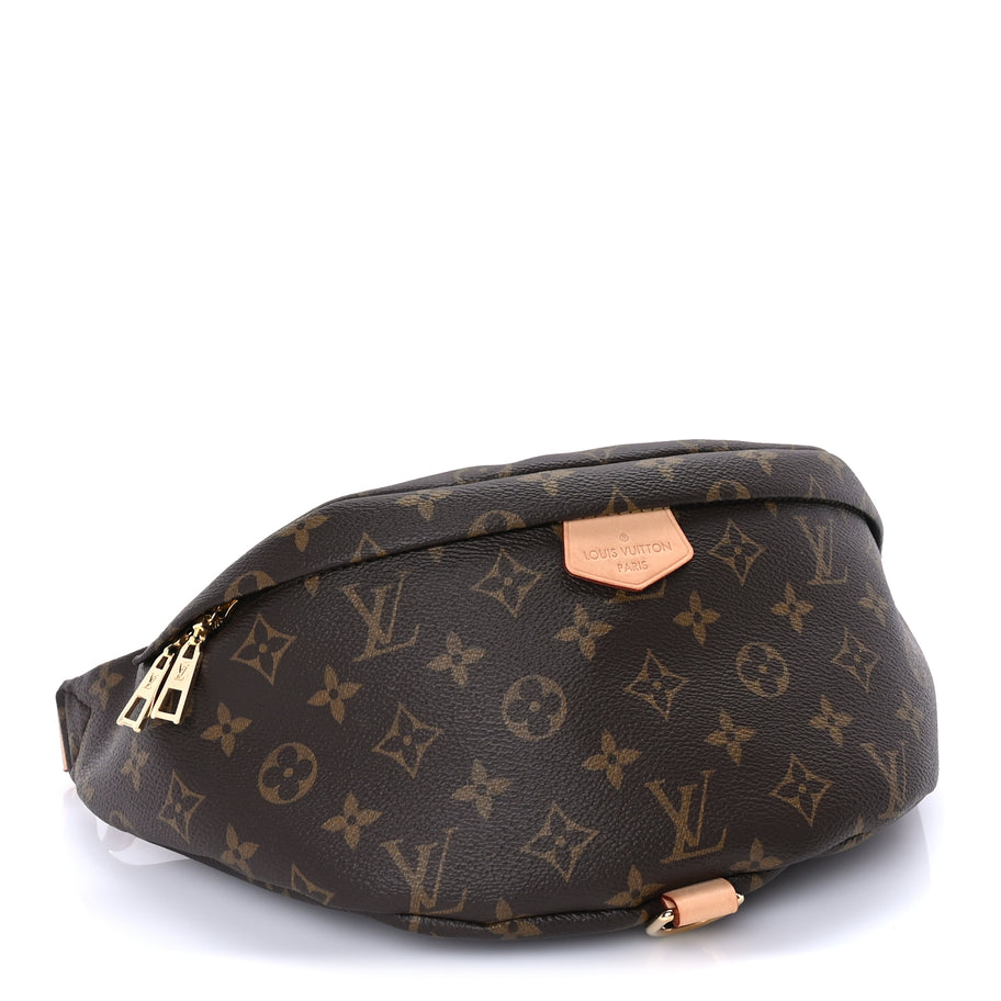 Louis Vuitton Monogram Bumbag Brown Image 3