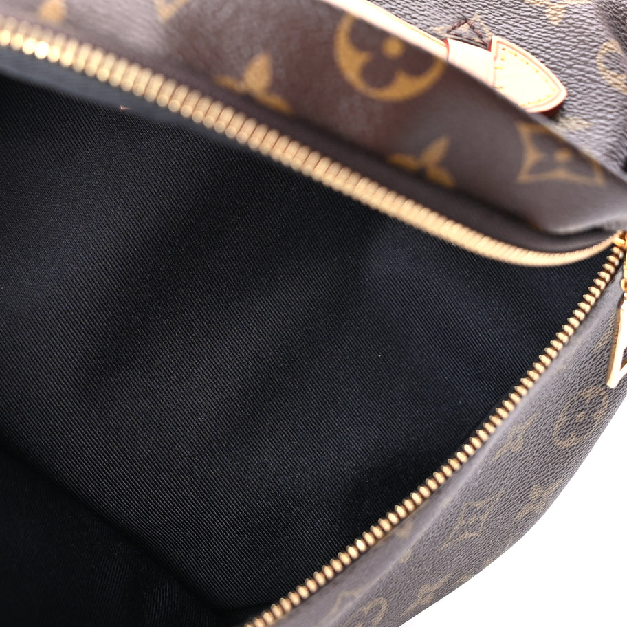 Louis Vuitton Monogram Bumbag Brown Image 4