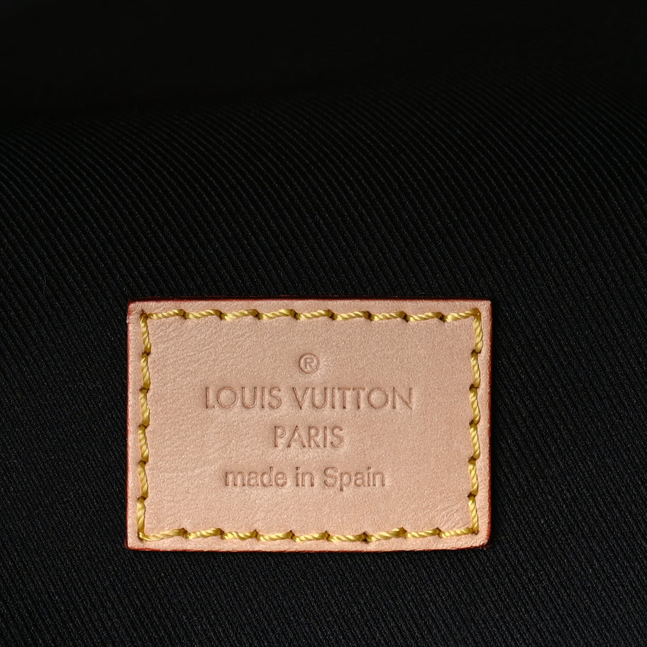 Louis Vuitton Monogram Bumbag Brown Image 5