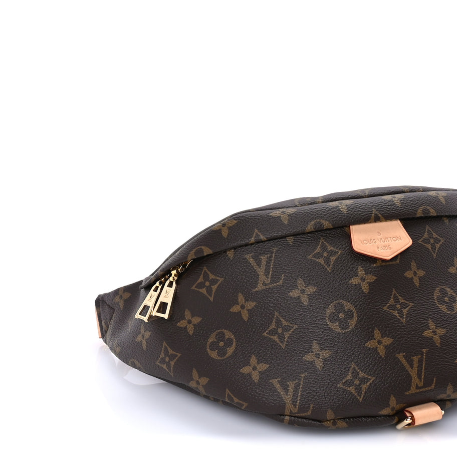 Louis Vuitton Monogram Bumbag Brown Image 7