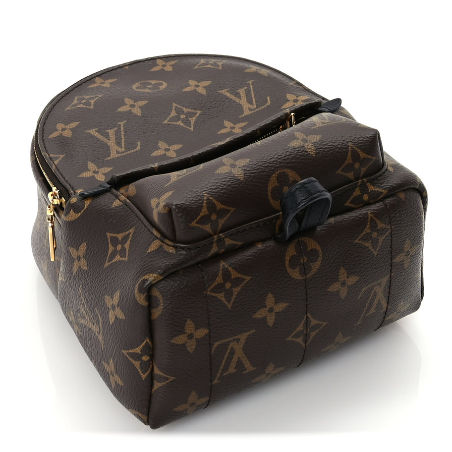 Louis Vuitton Monogram Palm Springs Backpack Mini Black Image 3