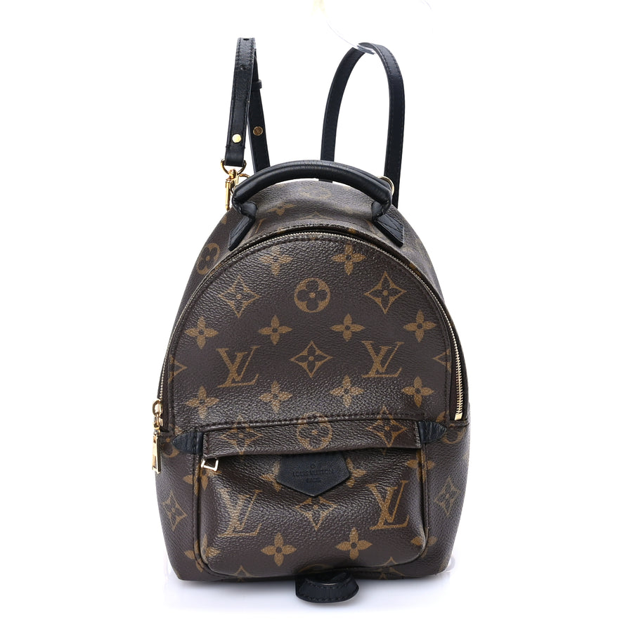 Louis Vuitton Monogram Palm Springs Backpack Mini Image 1