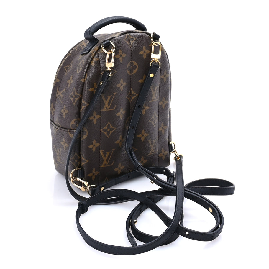 Louis Vuitton Monogram Palm Springs Backpack Mini Image 2