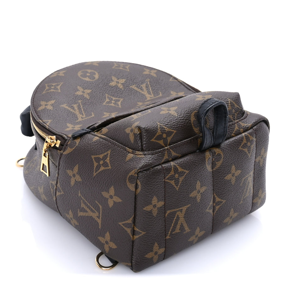 Louis Vuitton Monogram Palm Springs Backpack Mini Image 3