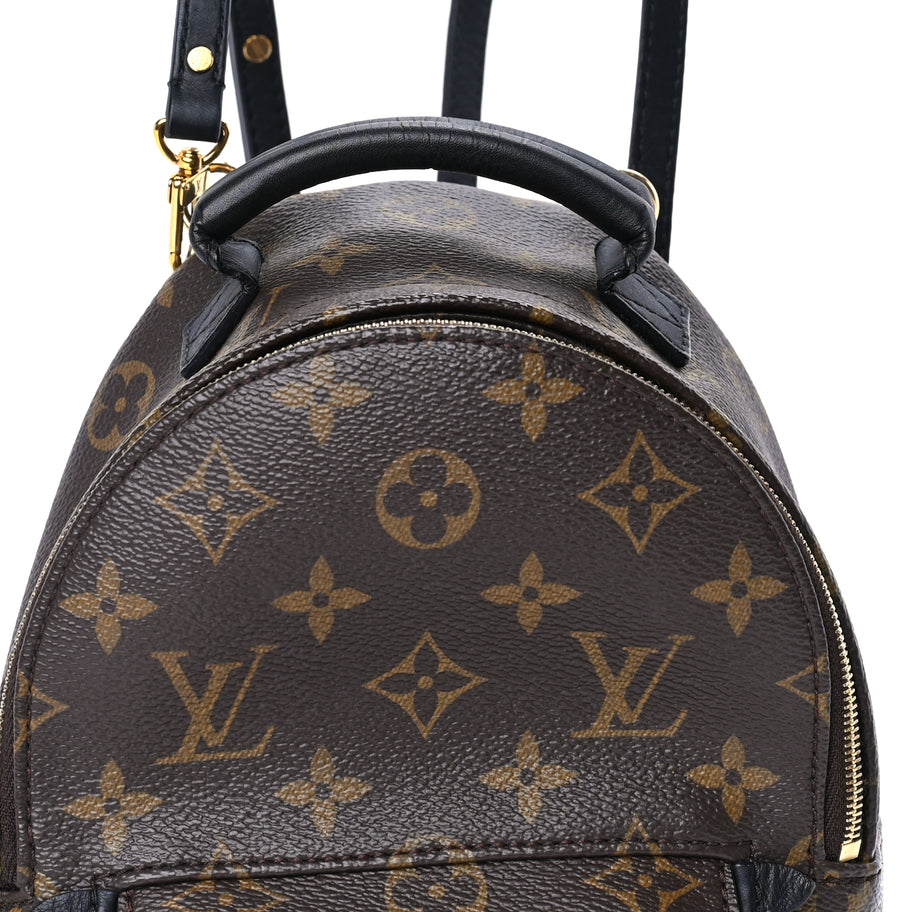 Louis Vuitton Monogram Palm Springs Backpack Mini Image 6