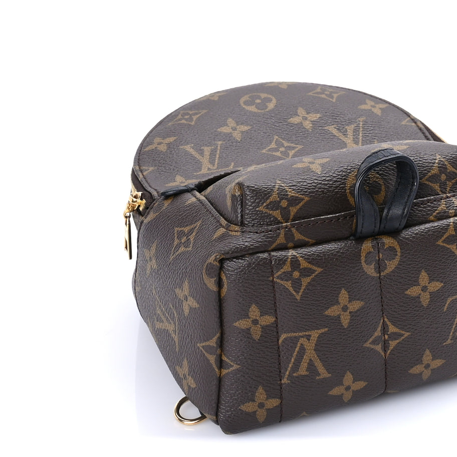 Louis Vuitton Monogram Palm Springs Backpack Mini Image 7
