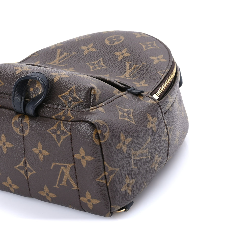 Louis Vuitton Monogram Palm Springs Backpack Mini Image 8