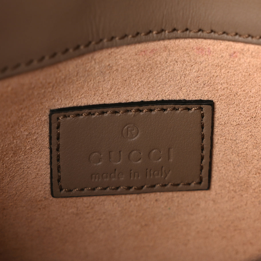 Gucci GG Supreme Monogram Super Mini Dionysus Shoulder Bag Taupe Image 5