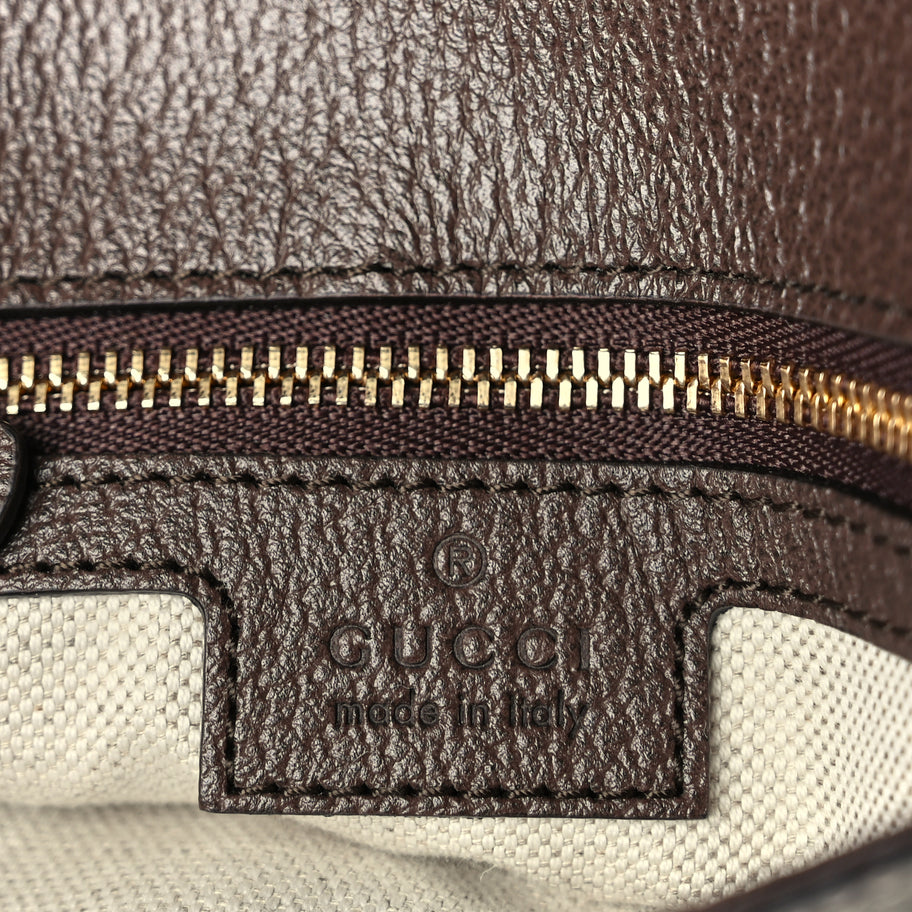 Gucci GG Supreme Monogram Textured Dollar Calfskin Blondie Chain Shoulder Flap Bag Beige Ebony New Acero Image 5