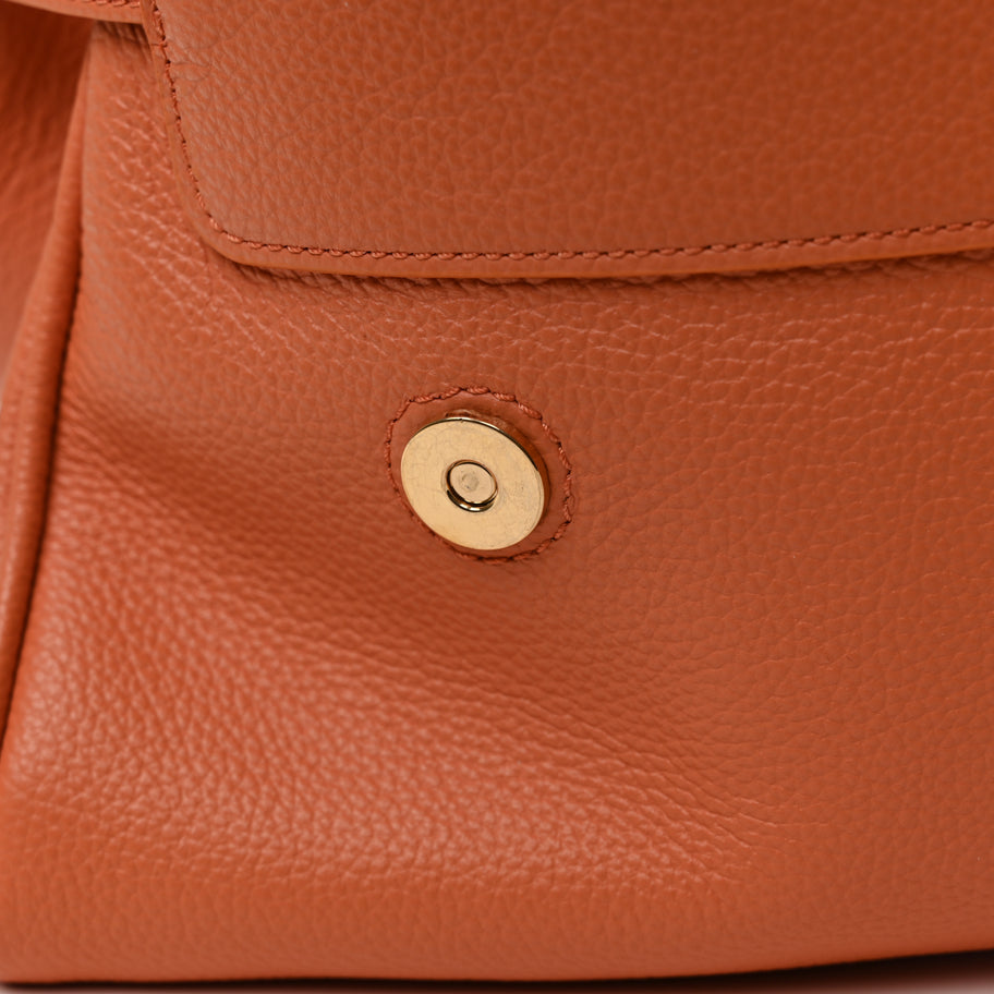 Mulberry Small Classic Grain Medium Alexa Apricot Image 9