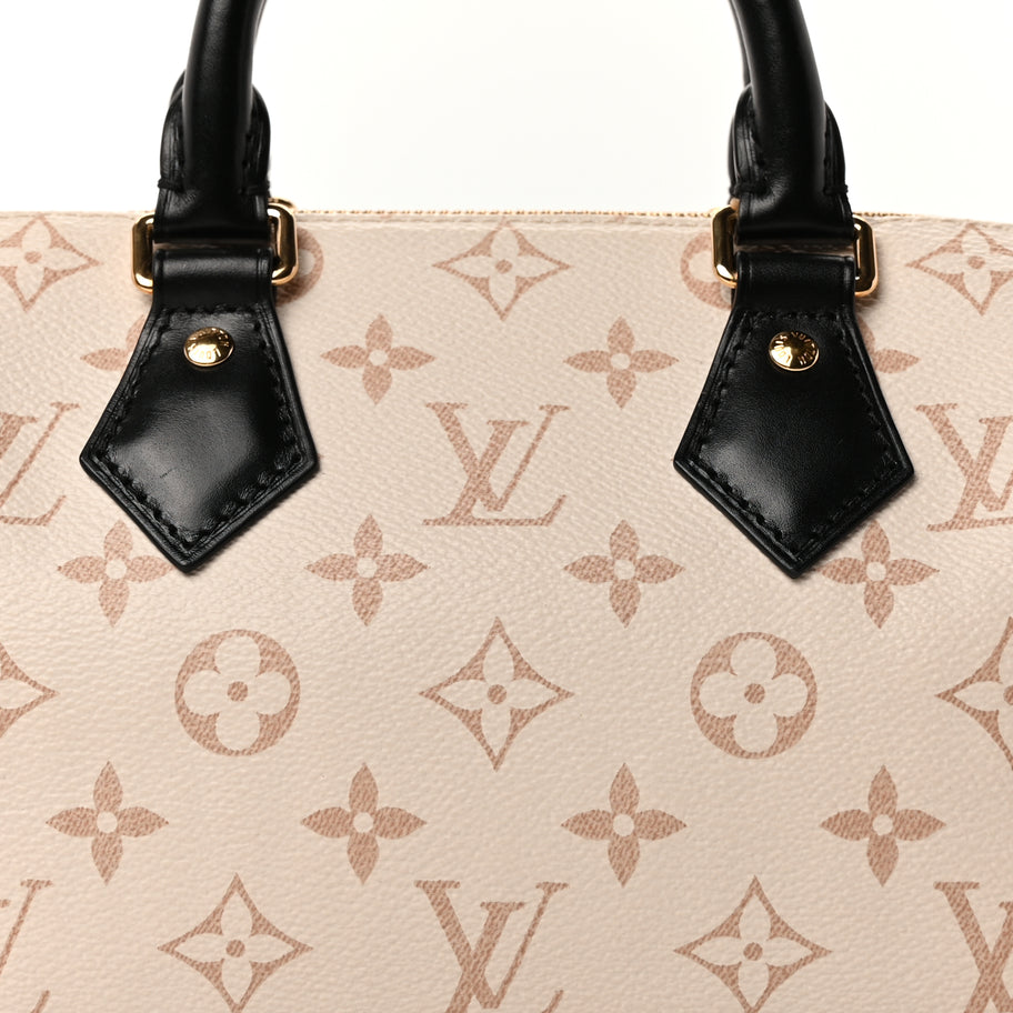 Louis Vuitton Monogram Dune Speedy Bandouliere 20 Image 6