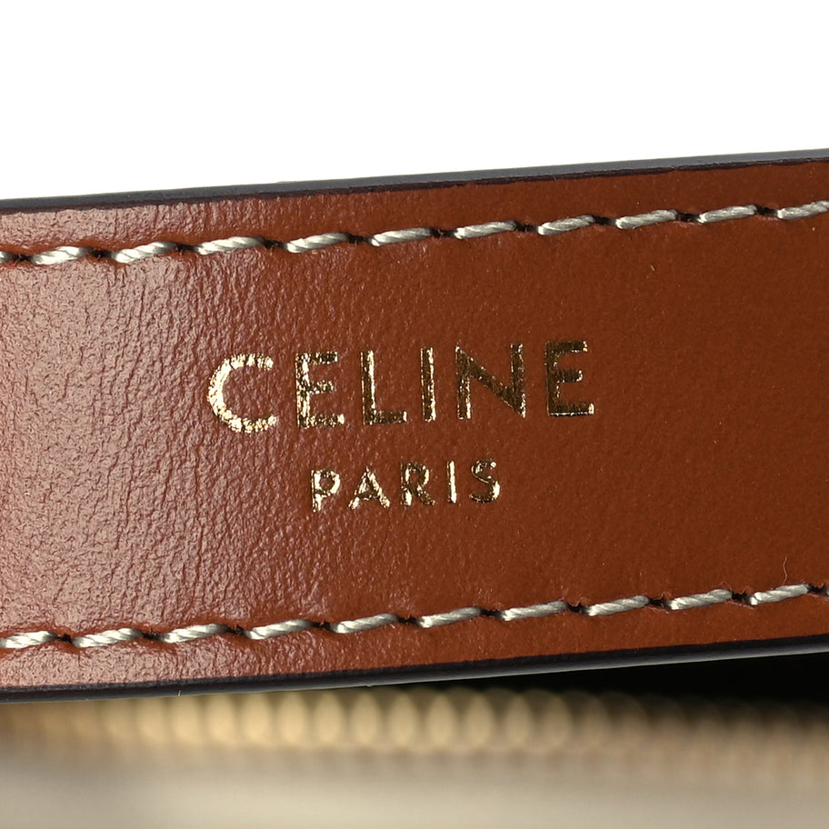 Celine Canvas Calfskin Ava Triomphe Shoulder Bag Grege Image 5