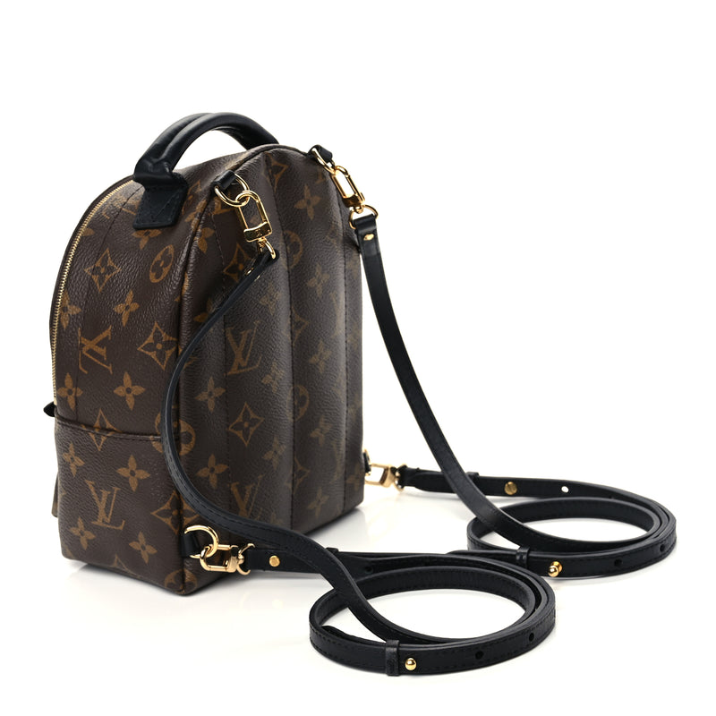  Louis Vuitton Monogram Palm Springs Backpack Mini Monogram