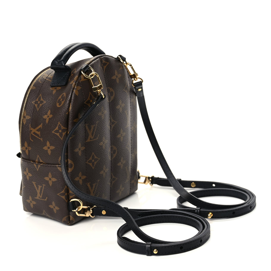 Louis Vuitton Monogram Palm Springs Backpack Mini Monogram Image 2