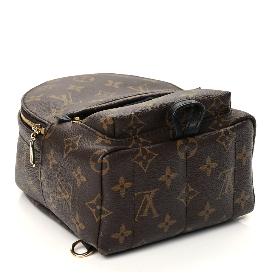Louis Vuitton Monogram Palm Springs Backpack Mini Monogram Image 3