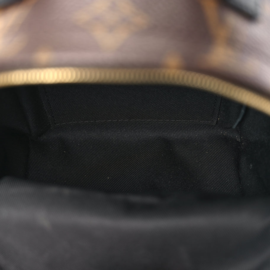 Louis Vuitton Monogram Palm Springs Backpack Mini Monogram Image 4