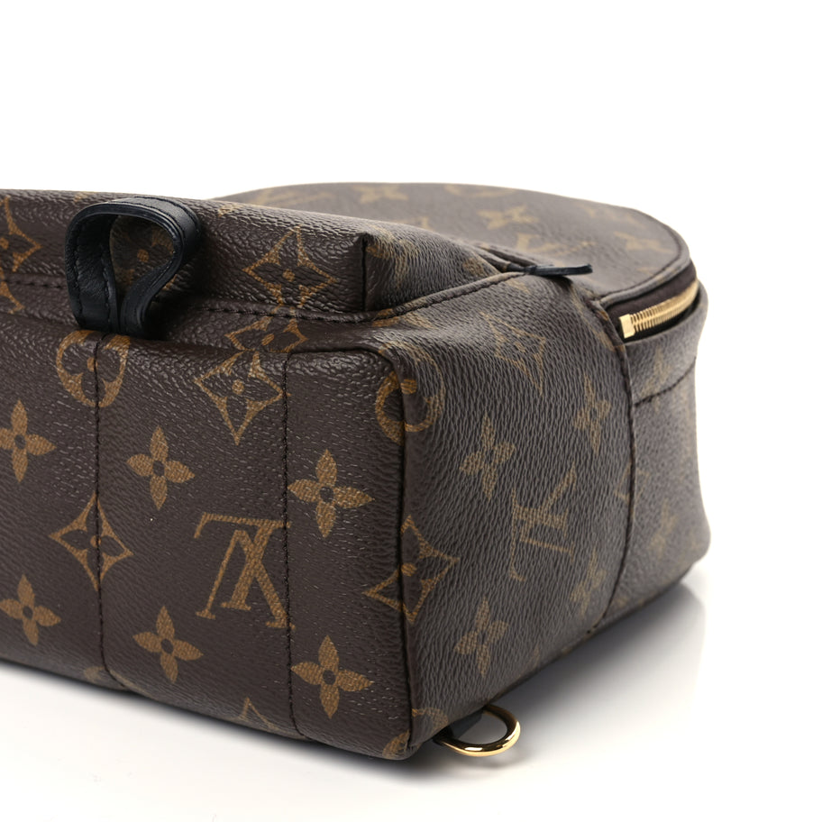 Louis Vuitton Monogram Palm Springs Backpack Mini Monogram Image 9