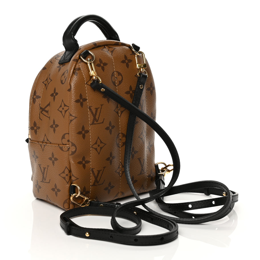 Louis Vuitton Reverse Monogram Palm Springs Backpack Mini Image 3