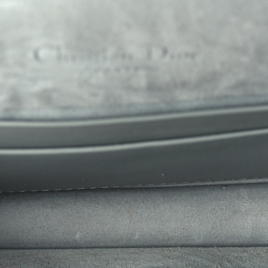 Christian Dior Ultra Matte Calfskin Saddle Belt Clutch  Grey Stone Image 4