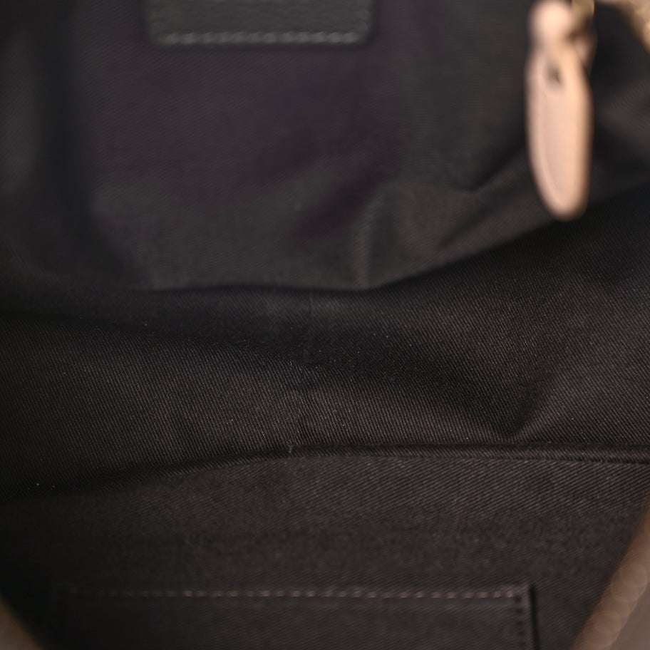 Chloe Calfskin Medium Paraty Rock Rock Image 4