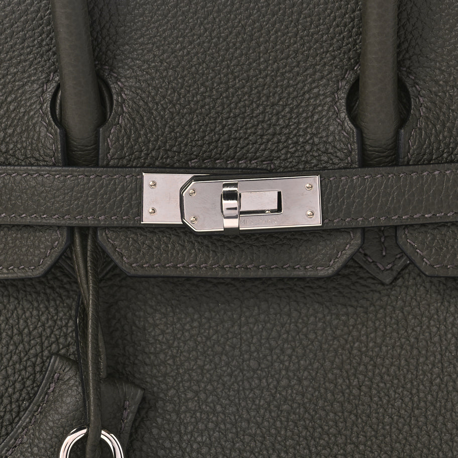Hermes Togo Birkin 25 Vert De Gris Image 7