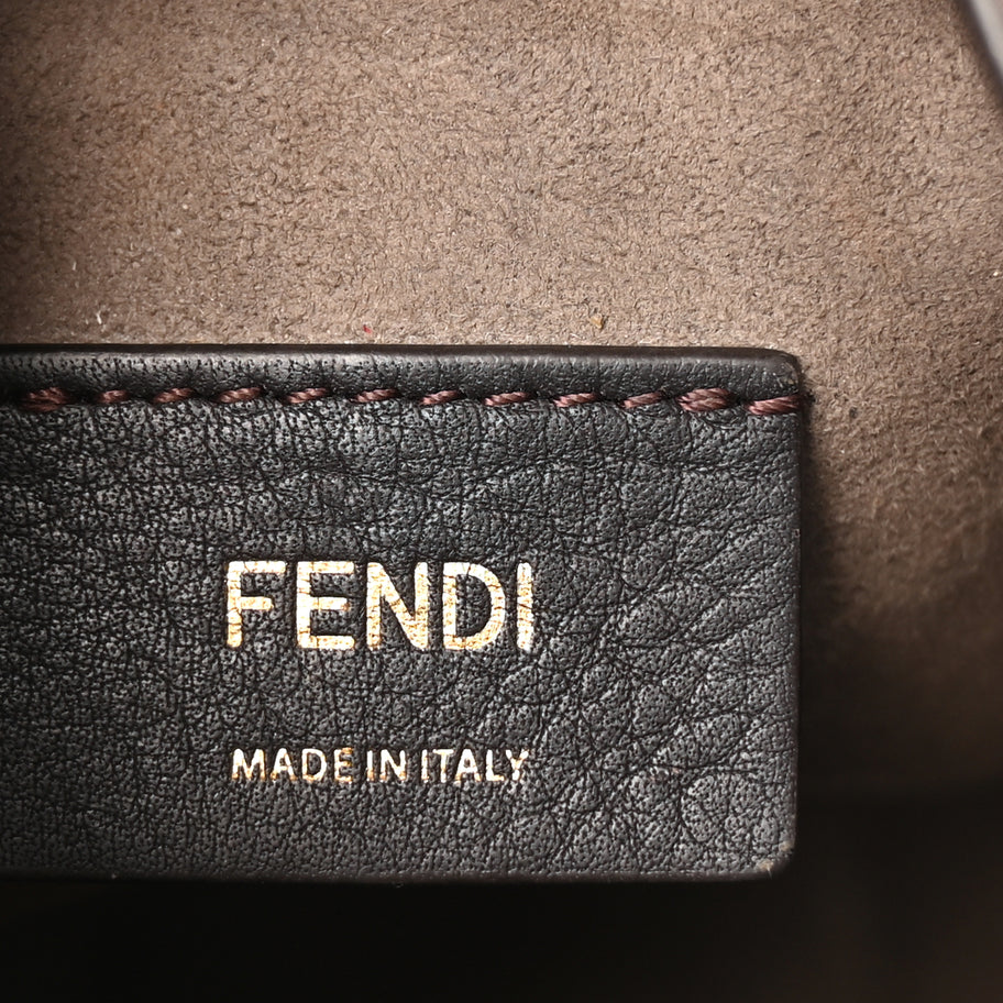 Fendi FENDI Zucchino Mini Mon Tresor Bucket Bag Beige Brown Image 6