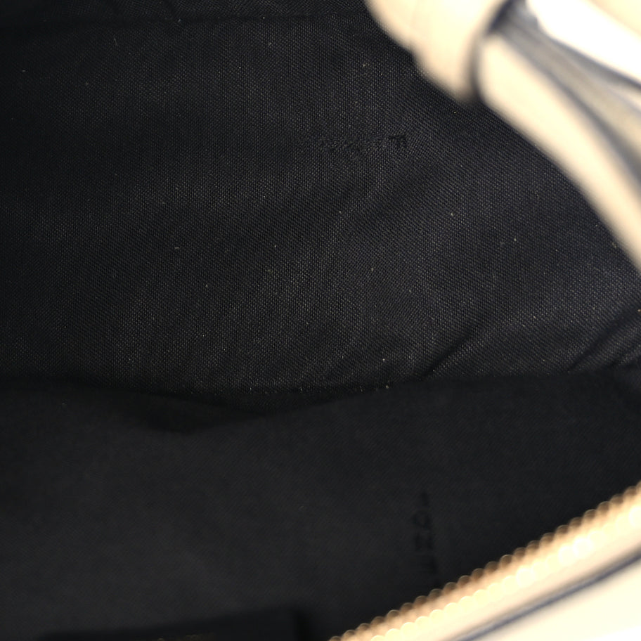 Fendi Vitello Grace Matte Small Fendigraphy Hobo Bag  Nuvola Image 4