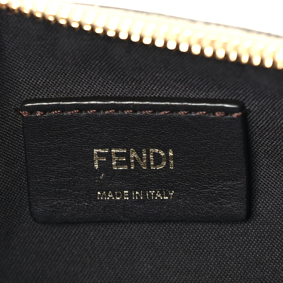 Fendi Vitello Grace Matte Small Fendigraphy Hobo Bag  Nuvola Image 5