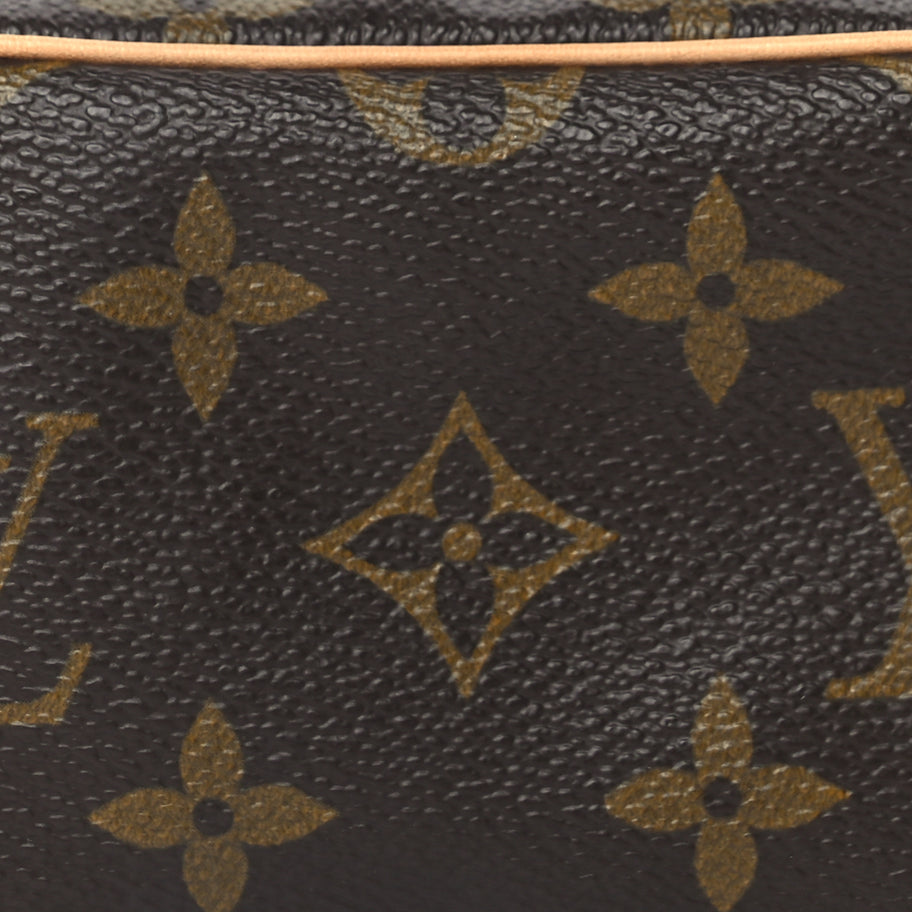 Louis Vuitton Monogram Wapity Image 6