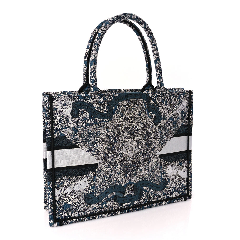 Christian Dior Canvas Embroidered Medium Around The World Book Tote Blue Image 2