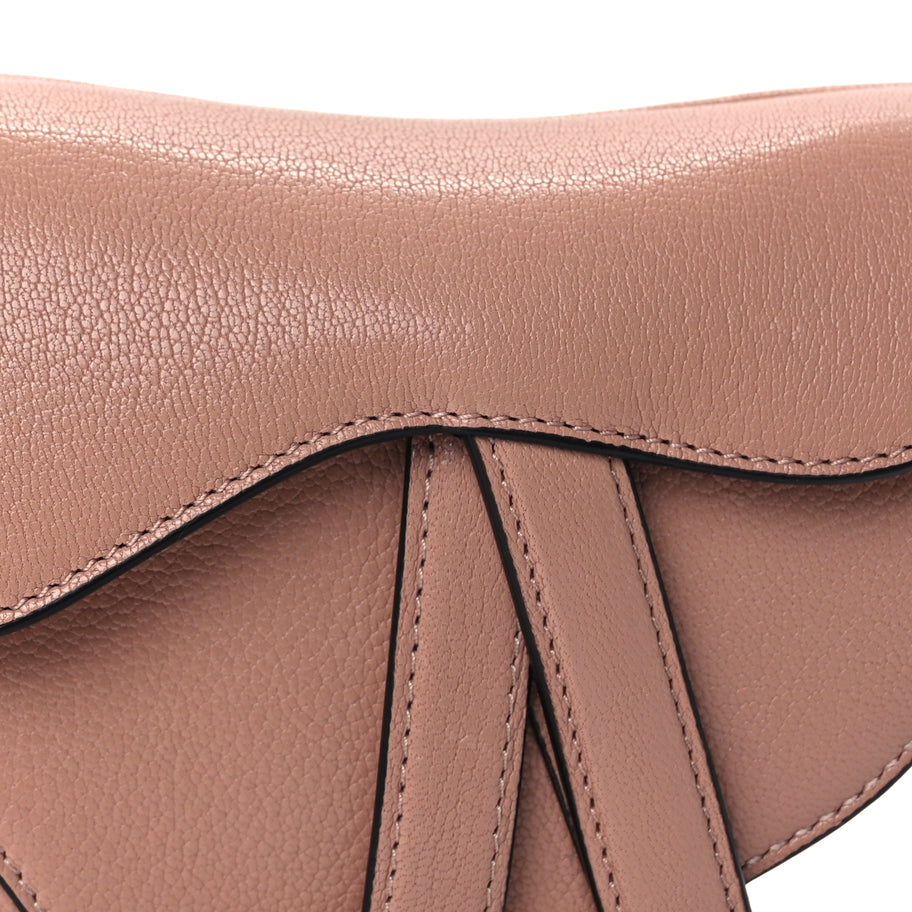 Christian Dior Goatskin Micro Saddle Bag Rose Des Vents Image 6