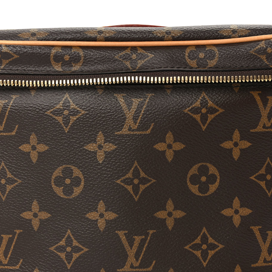 Louis Vuitton Monogram Nice BB Image 7