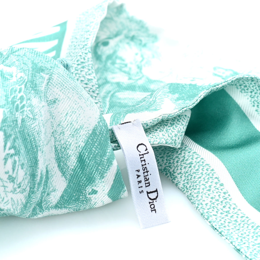 Christian Dior Straw Embroidered Dioriviera D-Ocean Visor  Green White Image 6