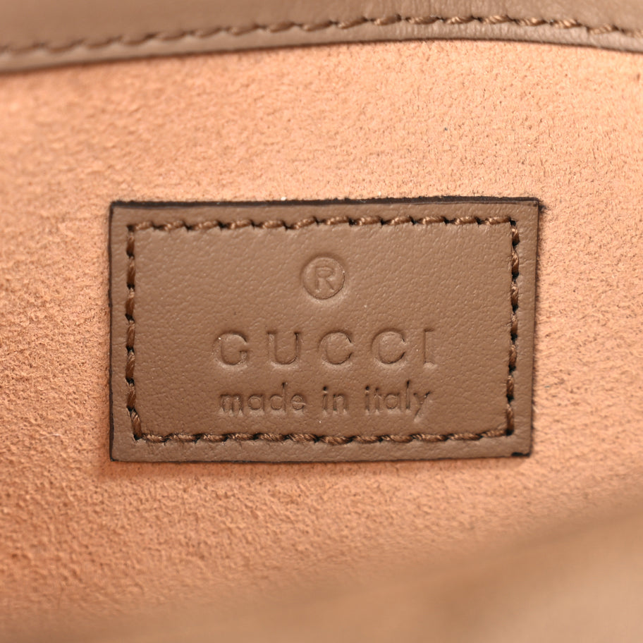 Gucci GG Supreme Monogram Super Mini Dionysus Shoulder Bag Taupe Image 5