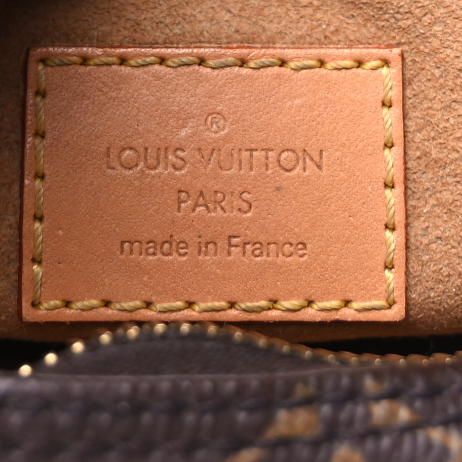 Louis Vuitton Monogram Loop Image 5