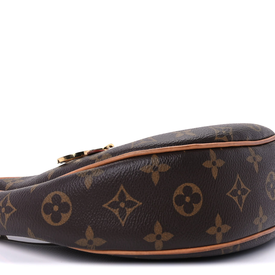 Louis Vuitton Monogram Loop Image 8