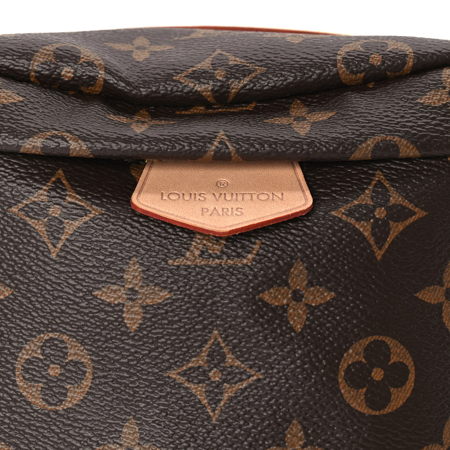 Louis Vuitton Monogram Bumbag Brown Image 6