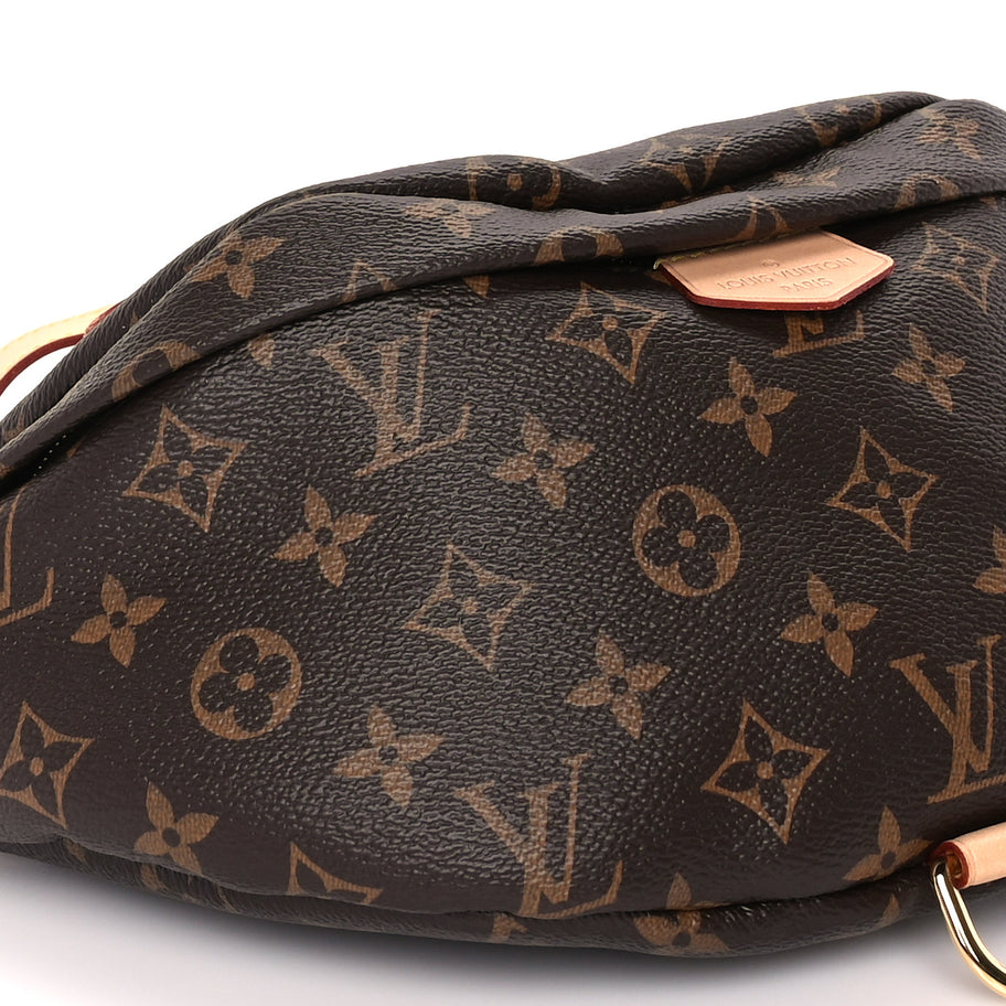 Louis Vuitton Monogram Bumbag Brown Image 7