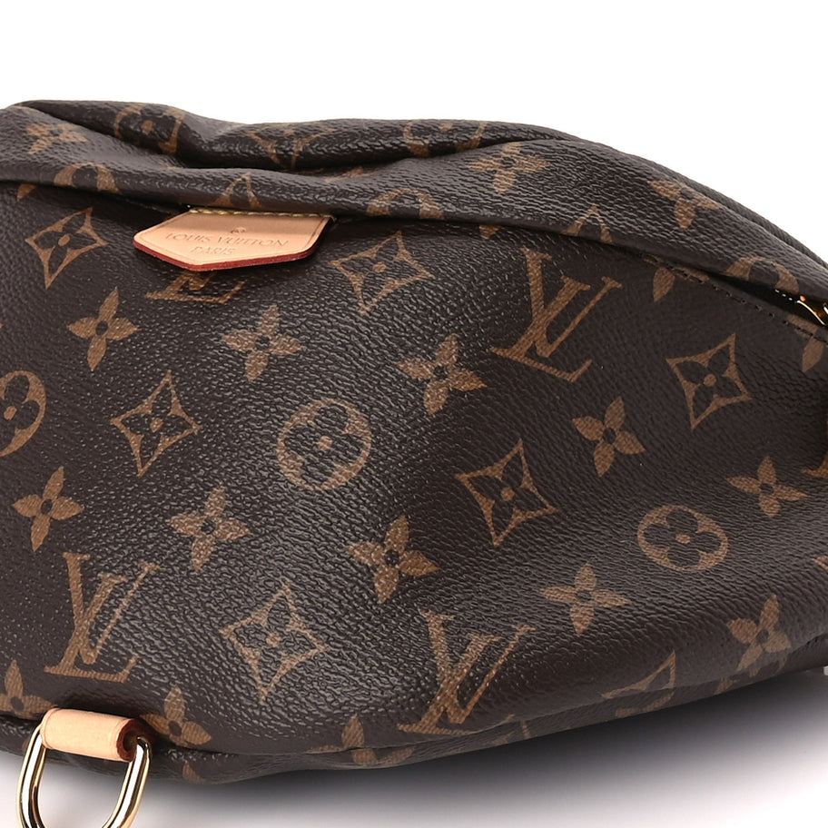 Louis Vuitton Monogram Bumbag Brown Image 8