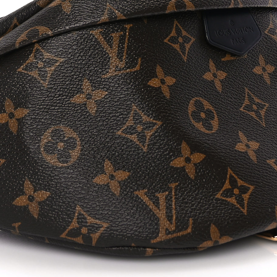 Louis Vuitton Monogram My LV World Tour Bumbag Image 7
