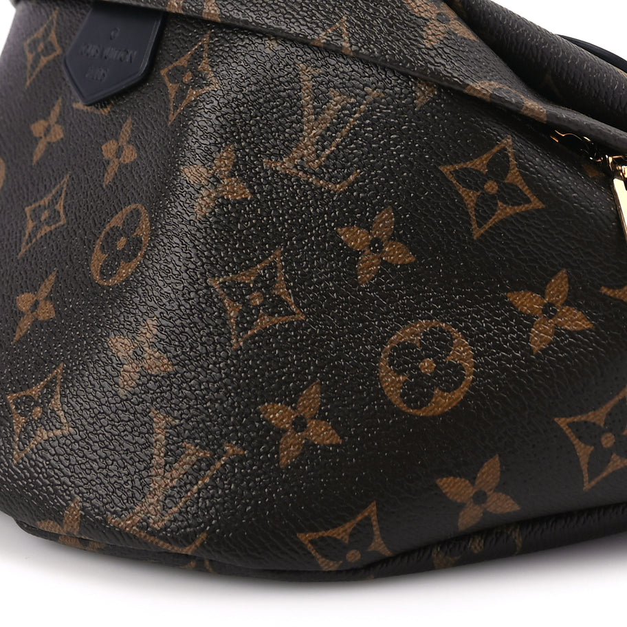 Louis Vuitton Monogram My LV World Tour Bumbag Image 8