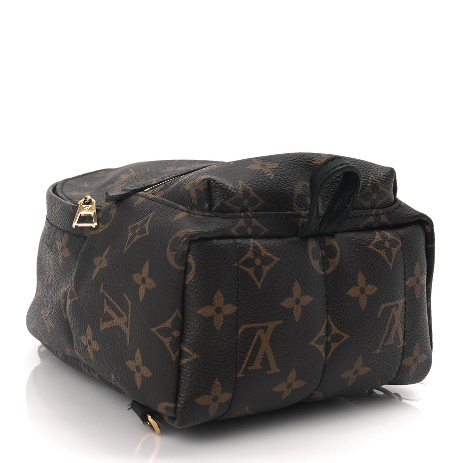 Louis Vuitton Monogram Palm Springs Backpack Mini Image 3