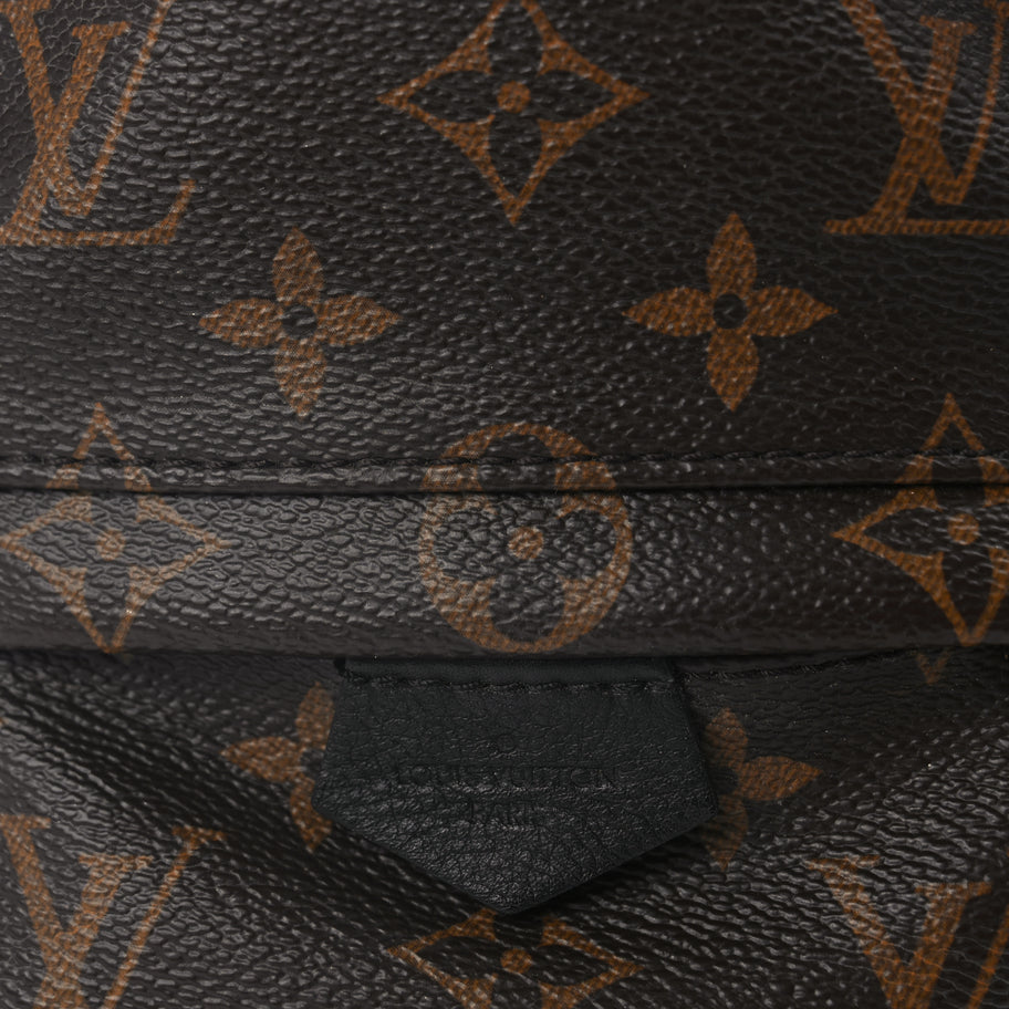Louis Vuitton Monogram Palm Springs Backpack Mini Image 6
