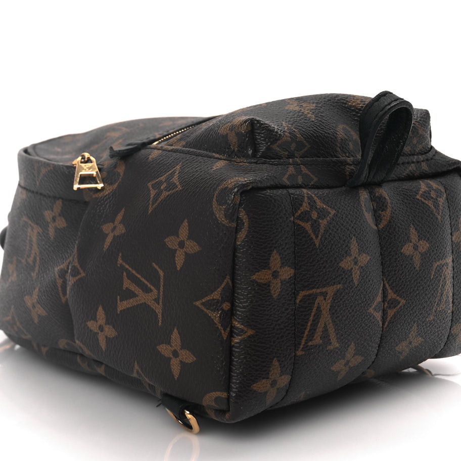 Louis Vuitton Monogram Palm Springs Backpack Mini Image 7