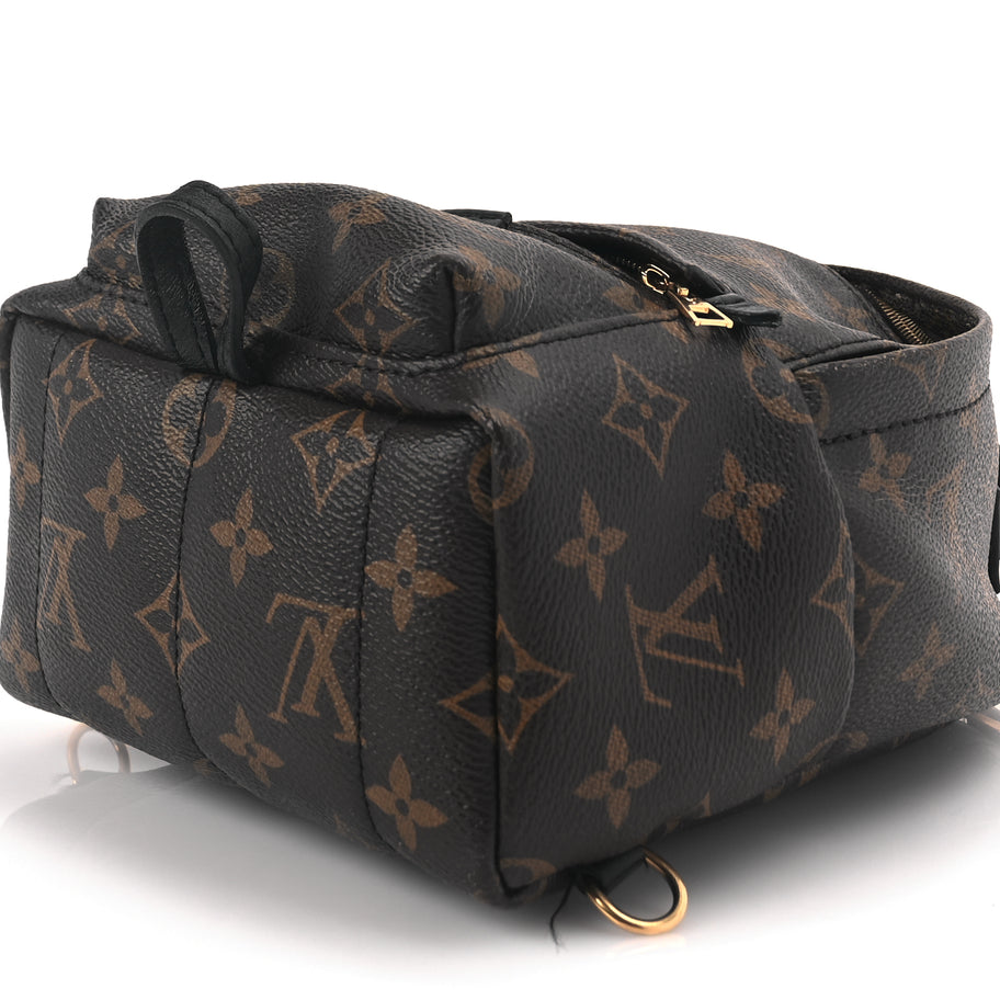 Louis Vuitton Monogram Palm Springs Backpack Mini Image 8