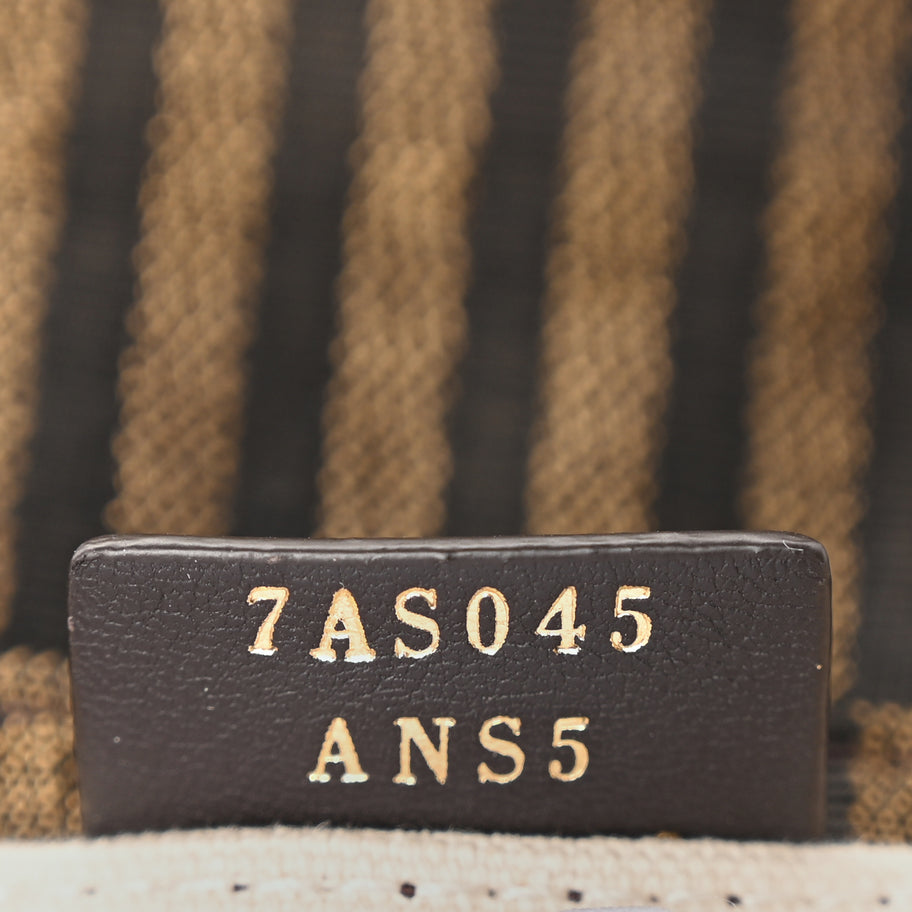 Fendi Canvas Nappa FF Multicolor Embroidered Nano Maxi Buckle Baguette Charm Grezzo Multicolor Latte Image 6