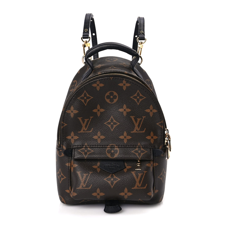 Louis Vuitton Monogram Palm Springs Backpack Mini Image 1